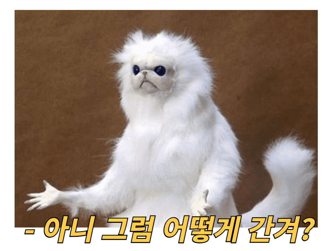 대만 여행을 못 간다고?